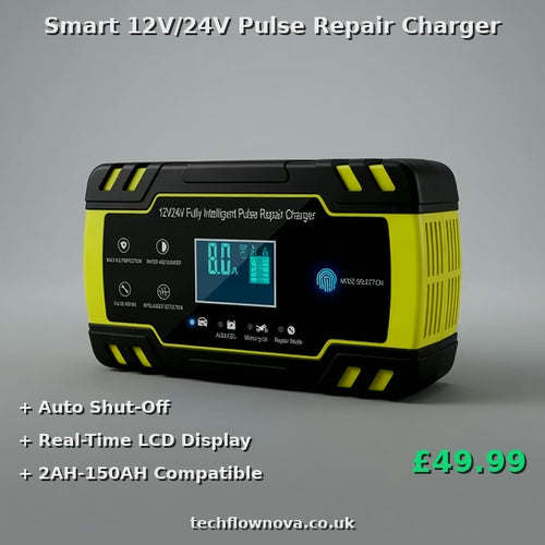 intelligent 12/24v pulse charger
