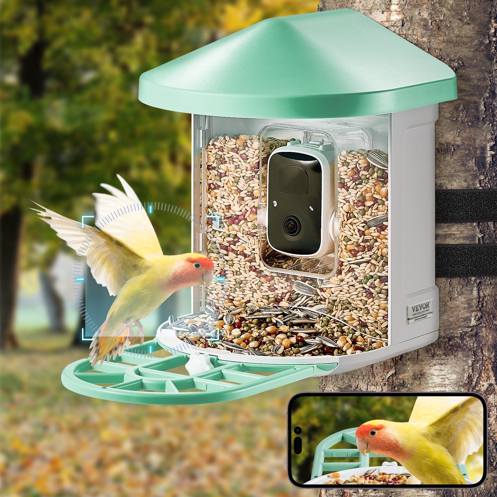 Smart Bird Feeder with Camera, 2K HD AI Identify 10,000+ Bird Species,